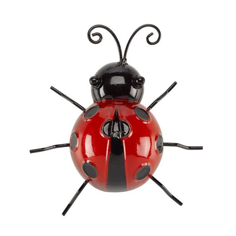 Coccinelle