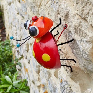 Coccinelle Loony