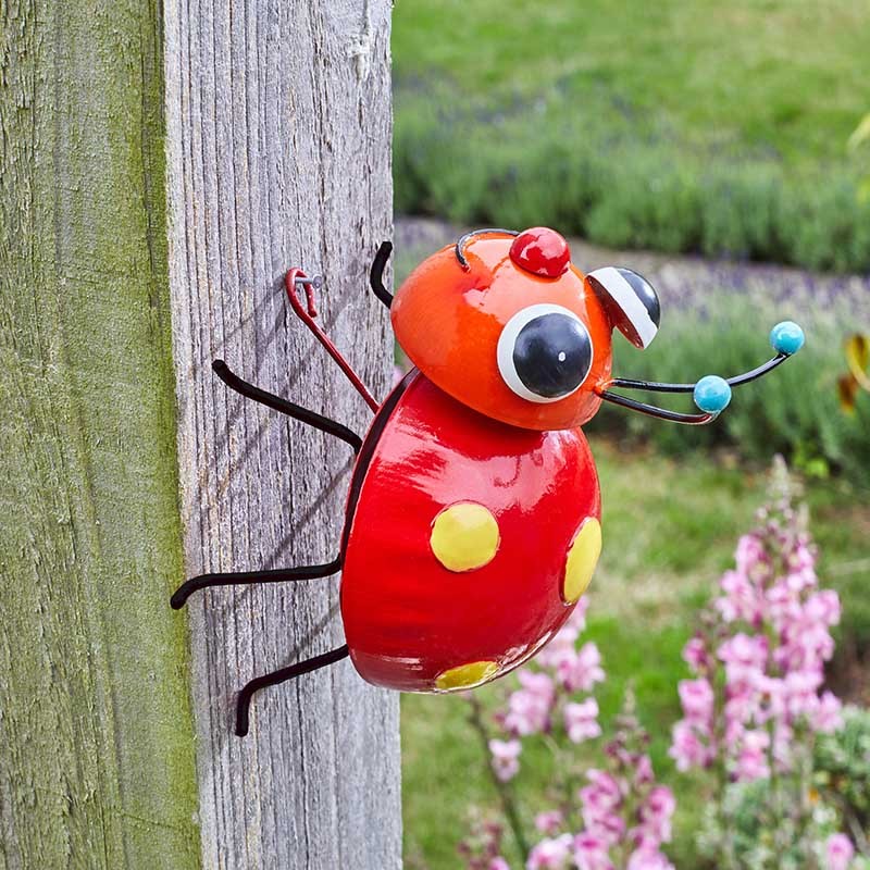 Coccinelle Loony