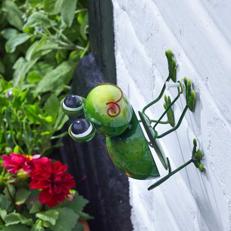 Grenouille Funkee