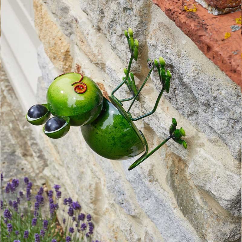 Grenouille Funkee