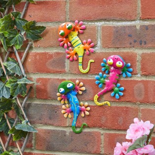 GeckoDelic multicolor