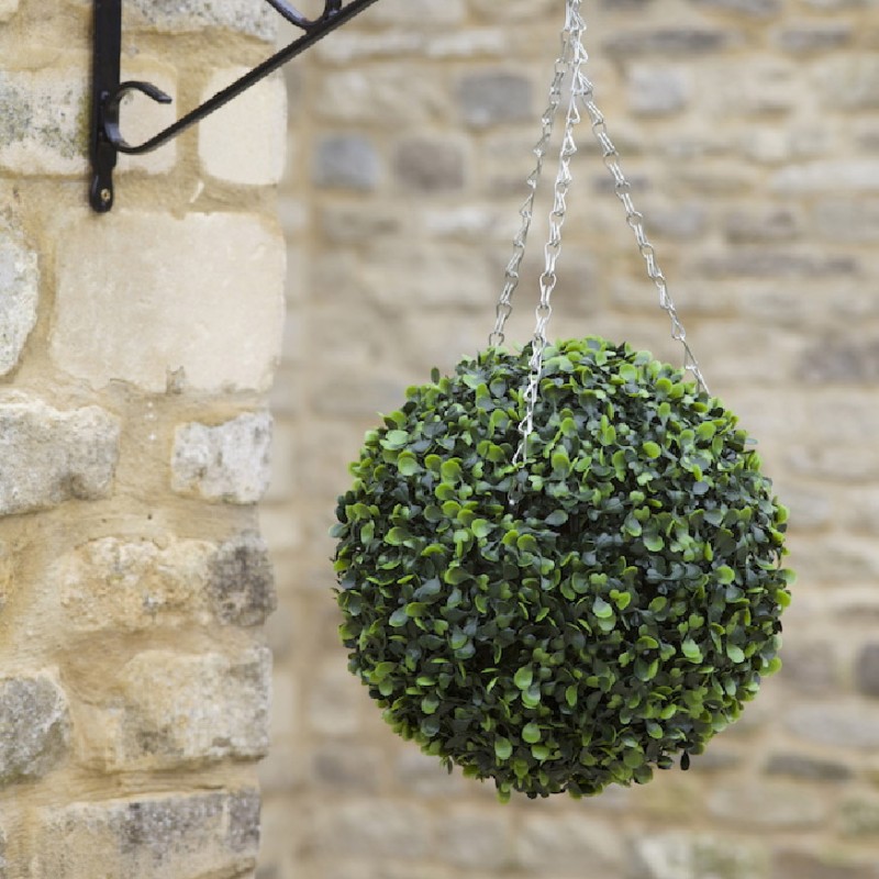 Boule Buis