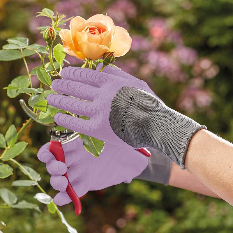 Gants Toutes Saisons