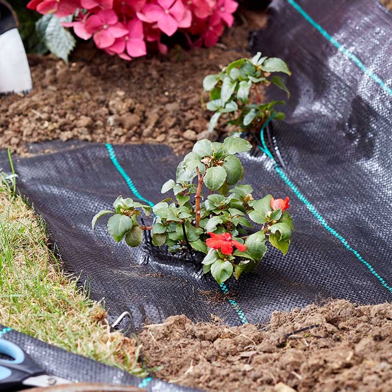 G100 Tissu Anti Mauvaises Herbes 15m x 1m