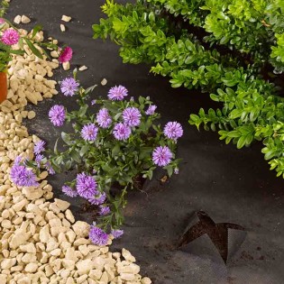 Tissu Anti Mauvaises Herbes - 15m x 1m