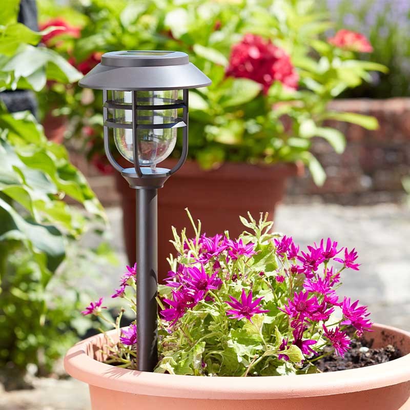 Balise Avant 5L Plastique Solaire
