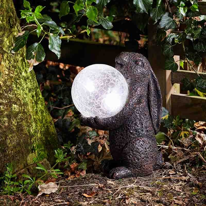 Lièvre Magique Solaire