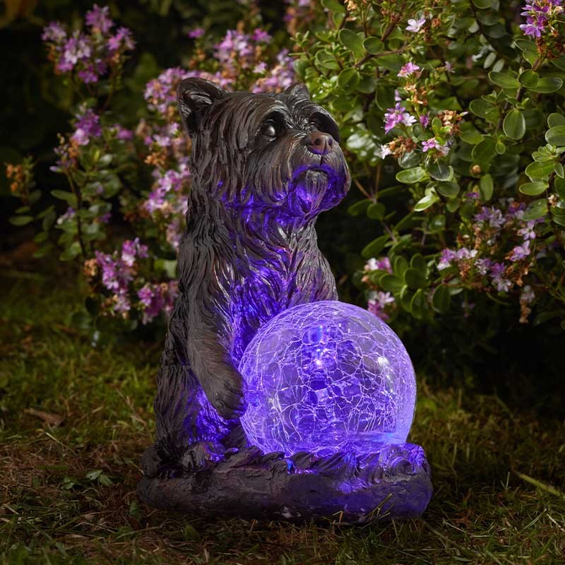 Chien Solaire