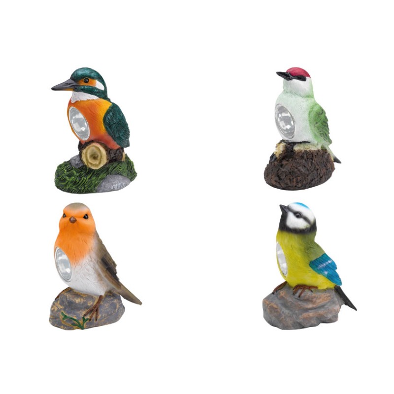 Oiseau Solaire