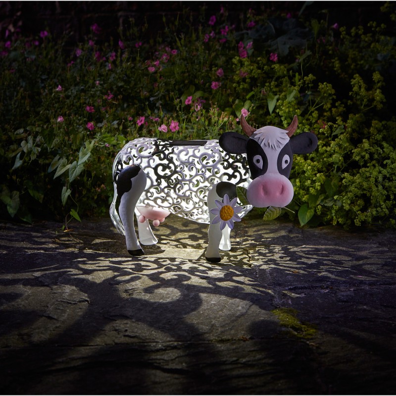 Daisy Solaire