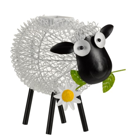 Dolly Solaire