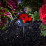 Piques coccinelles lumineuses Solaire Piques coccinelles lumineuses Solaire