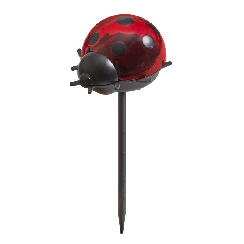 Piques coccinelles lumineuses Solaire