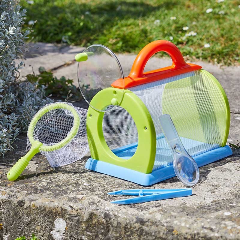 Kit de boîte à insectes