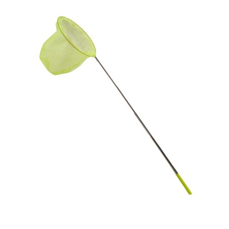 Epuisette à Papillon