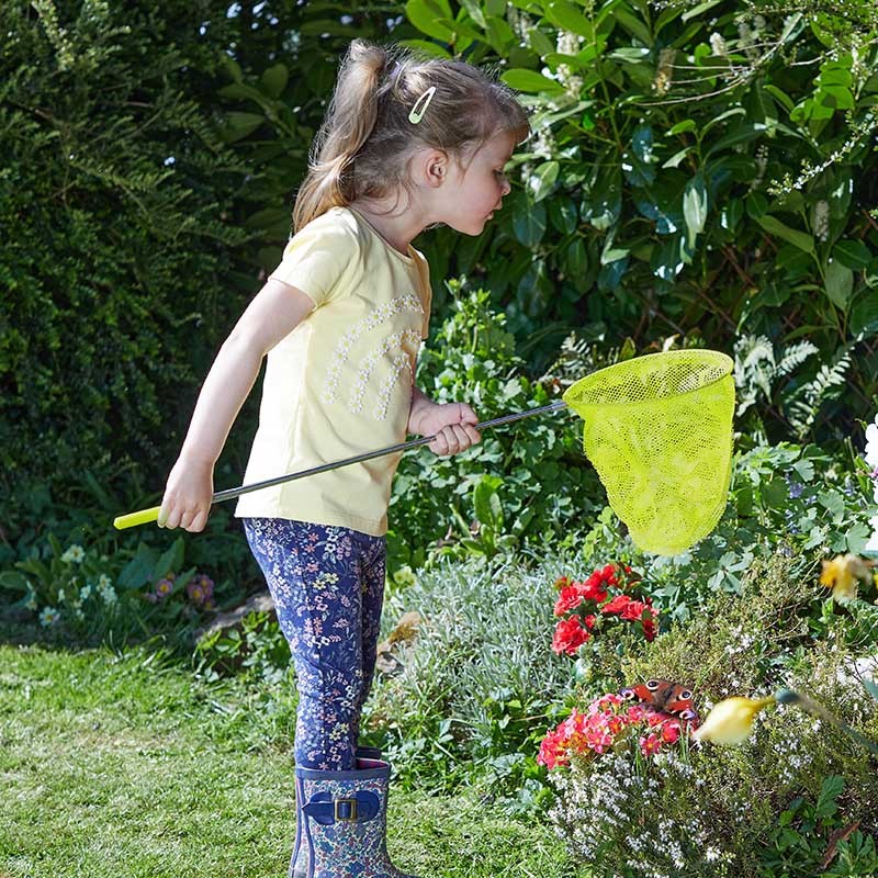 Epuisette à Papillon