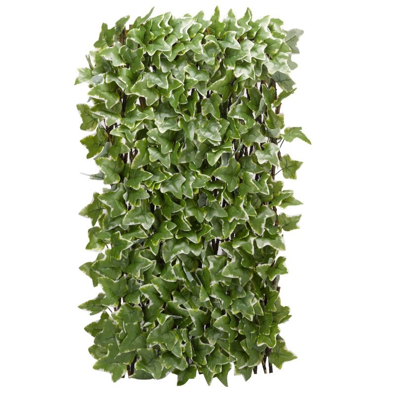 Treillis feuille de lierre 180x60