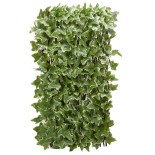 Treillis feuille de lierre 180x60
