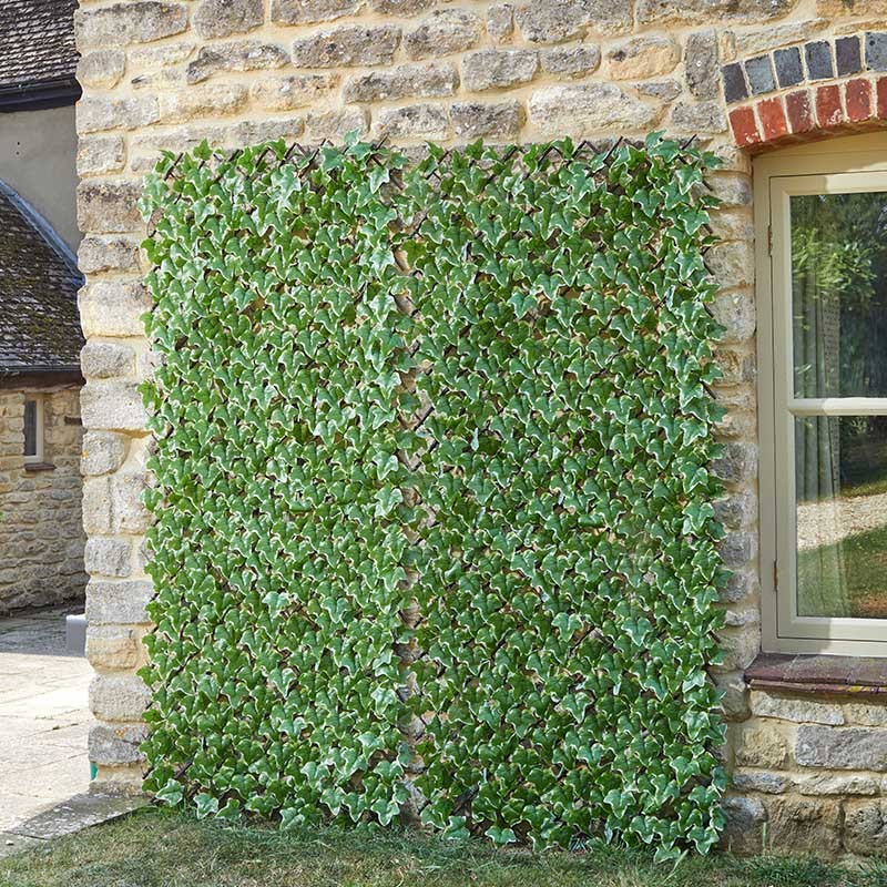 Treillis feuille de lierre 180x90