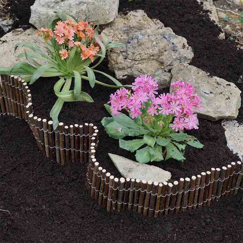 Bordure de Saule 2m