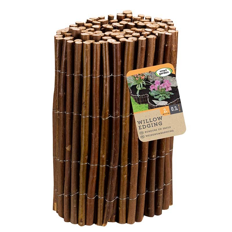Bordure de Saule 2m