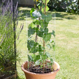 Panneau de Grillage 25mm x 25mm Maille