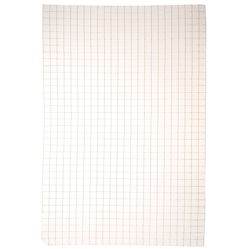 Panneau de Grillage 25mm x 25mm Maille
