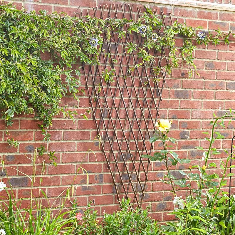 Treillis éventail extensible en saule - 1.8 x 0.9m