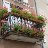Entretien des fleurs de balcon