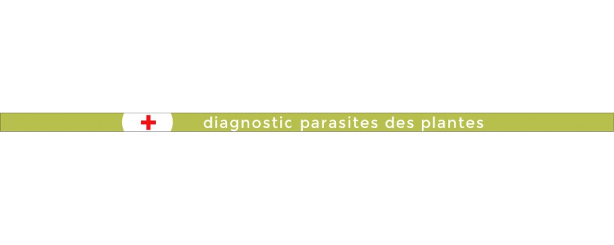 Diagnostic maladies